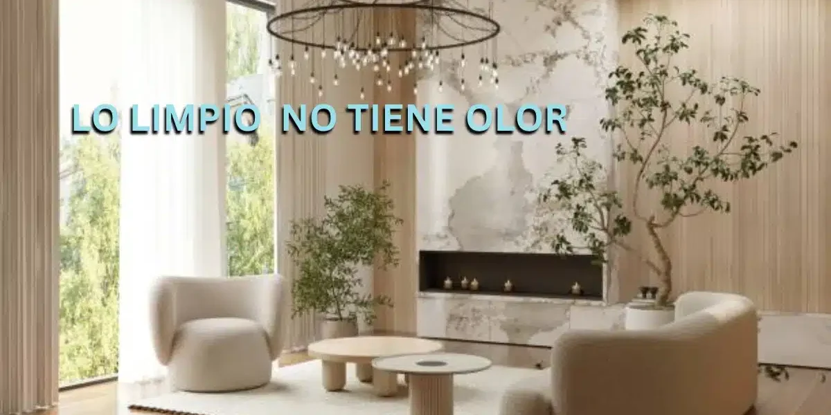 Ambiente blanco inmaculado representando limpieza profunda sin químicos con agua ozonizada Ozonify